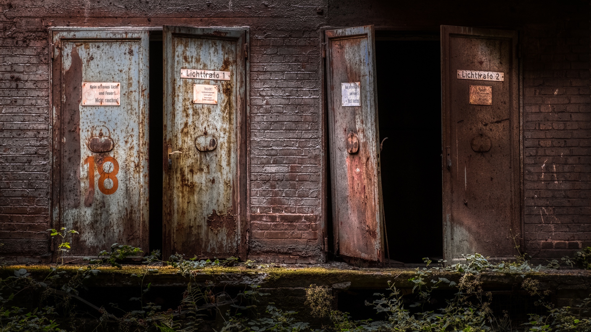 Beelden van de maand November